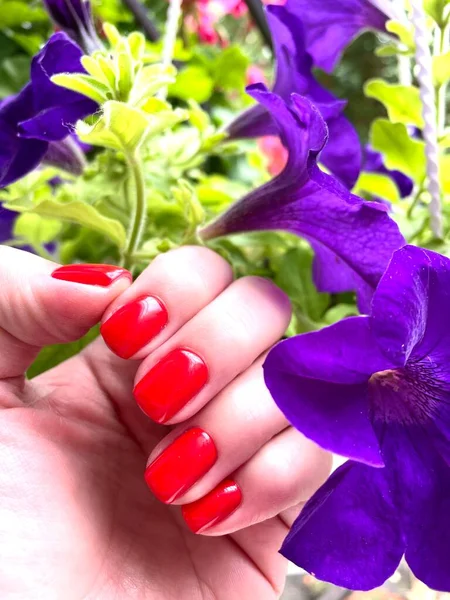 Nails, manicure, red, nature, flowers, leaves