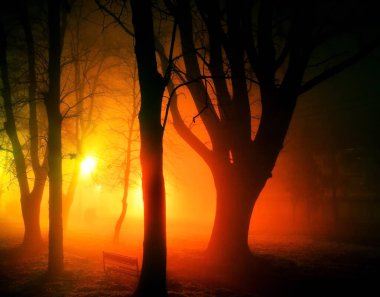 Sonbaharda bir gece Central Park 'ta. Sis ve ışıklar birbirine karıştı..