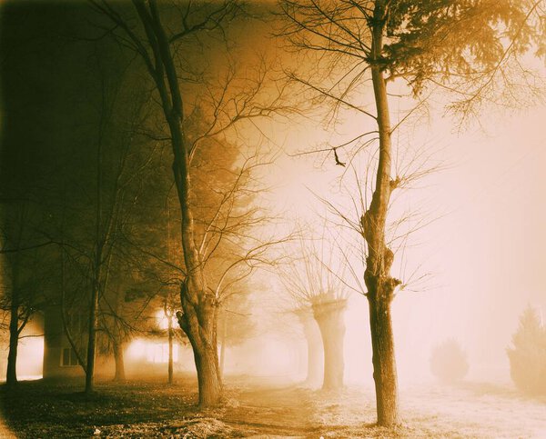 Mystical night landscape of central park in sepia mode.