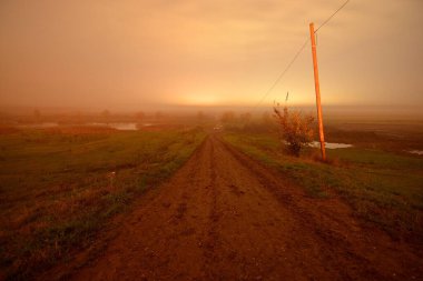 Vahşi doğadaki görkemli gece manzarası.