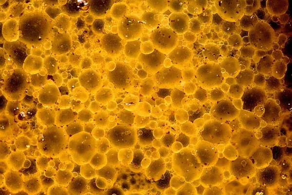 Bubbles inside mixed chemicals.