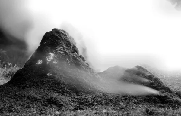 Beau Paysage Montagne Avec Brouillard — Photo