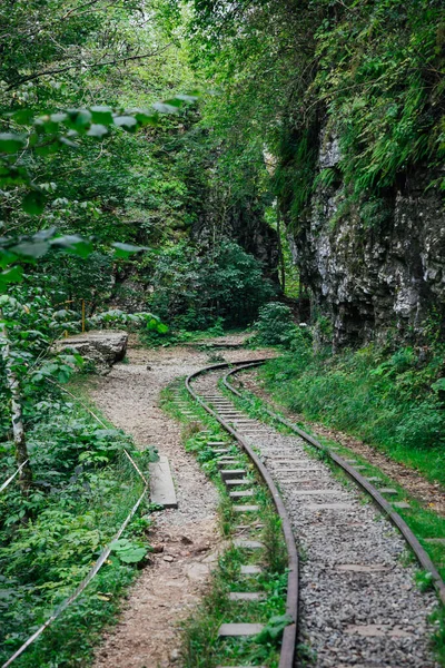 Uçurumun kenarındaki yeşil ormandaki eski demiryolu. — Stok fotoğraf