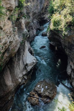 Yeşil bir ormanda bir dağ nehri ile tıka basa dolaş.