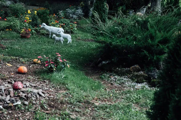 Three small white sheep in a green garden — Stock Photo, Image