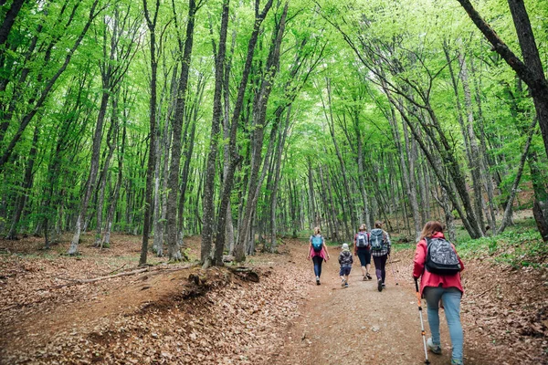 Os viajantes escalam a montanha em uma caminhada na floresta — Fotografia de Stock