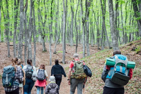 Os viajantes escalam a montanha em uma caminhada na floresta — Fotografia de Stock