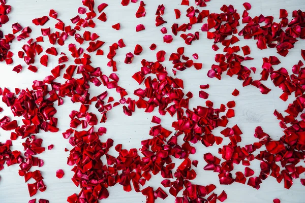 붉은 장미 꽃잎 이 밝은 배경에 놓여 있다 — 스톡 사진