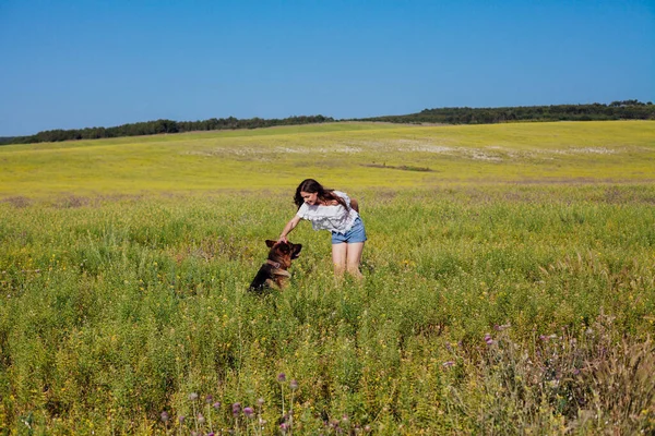 Piękna kobieta uczy psa pasterza na spacerze — Zdjęcie stockowe