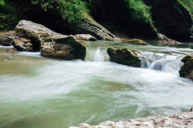 Yeşil orman manzarasında hızlı dağ nehri