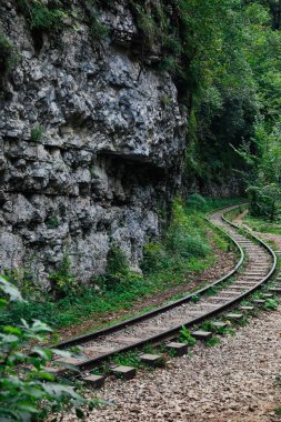 Yeşil orman vadisindeki eski demiryolu.