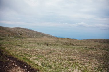 Ormanın ve gökyüzünün dağ manzarasının tepesindeki güzel manzara.