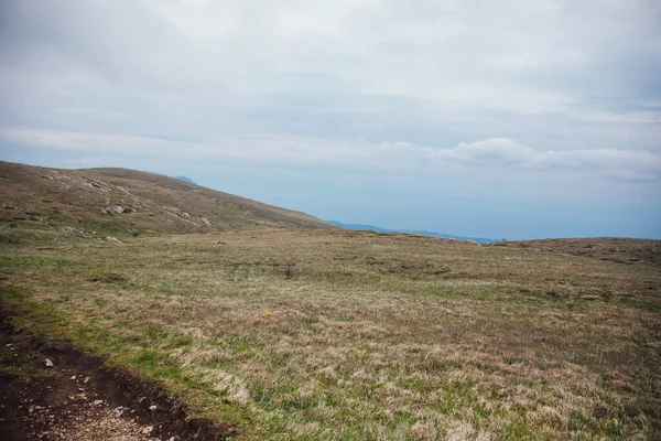 Ormanın ve gökyüzünün dağ manzarasının tepesindeki güzel manzara.