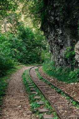 old railway in a green forest gorge clipart
