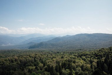 Dağ gökyüzü ve yeşil ormanın güzel manzarası