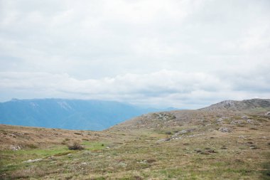 Ormanın ve gökyüzünün dağ manzarasının tepesindeki güzel manzara.