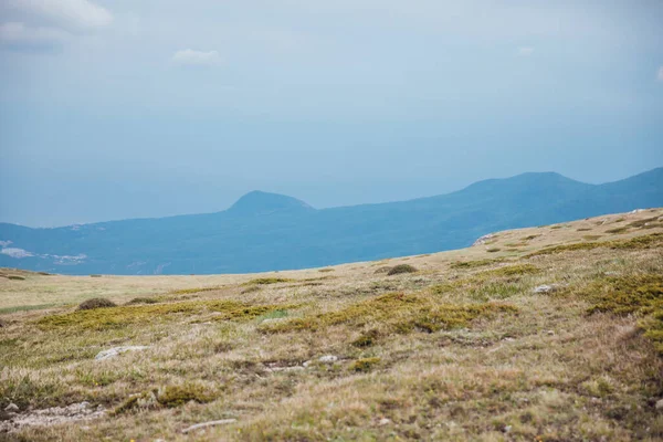 Ormanın ve gökyüzünün dağ manzarasının tepesindeki güzel manzara.