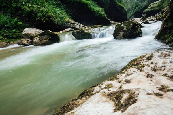 Yeşil orman manzarasında güzel bir dağ nehri