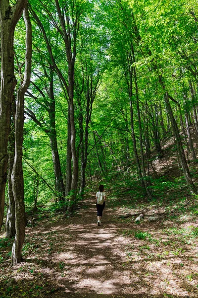 Vacker turist kvinna promenader genom den gröna skogen på en resa — Stockfoto