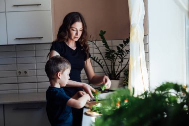 Anne ve oğul mutfakta sebze salatası hazırlayın.