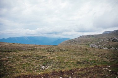 Dağın tepesinden yeşil ormana kadar güzel bir manzara.