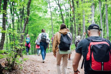 Bir grup turist bir yolculukta dağın tepesine tırmanıyor.