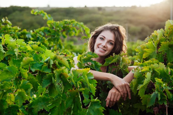 Bella donna bionda raccoglie uva raccolta autunno — Foto Stock