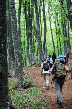 Turistler dağ yürüyüşünün zirvesine tırmanıyor.