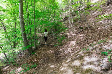 Dağlardaki yeşil bir ormanda güzel bir manzara.
