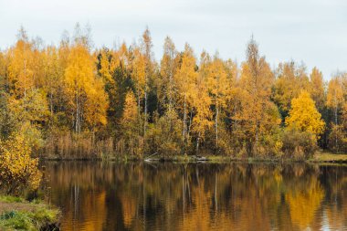 beautiful landscape of the lake in the autumn yellow forest