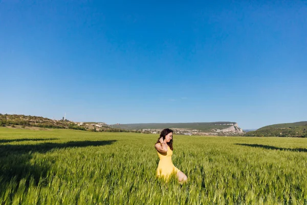 Mulher viajante caminha através de um campo verde de trigo — Fotografia de Stock