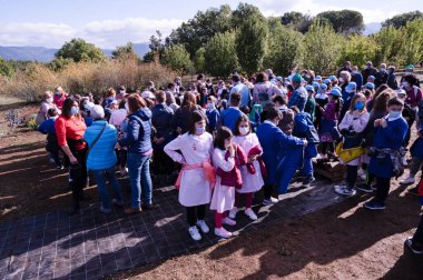 VENDEMMIA UVE CON SCULE ELEMENTARI ALSIA POLLINO ROTONDA BASILICATA İTALYA