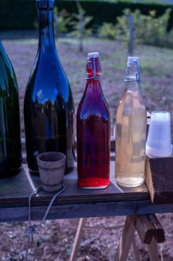 VENDEMMIA UVE CON SCULE ELEMENTARI ALSIA POLLINO ROTONDA BASILICATA İTALYA