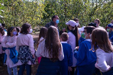 VENDEMMIA UVE CON SCULE ELEMENTARI ALSIA POLLINO ROTONDA BASILICATA İTALYA