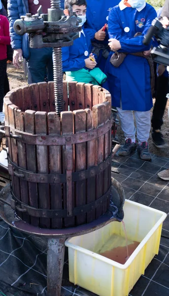 VENDEMMIA UVE CON SCULE ELEMENTARI ALSIA POLLINO ROTONDA BASILICATA İTALYA