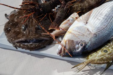 RESTAURANts-Gıda-Mutfak-Bulaşık-Gıda