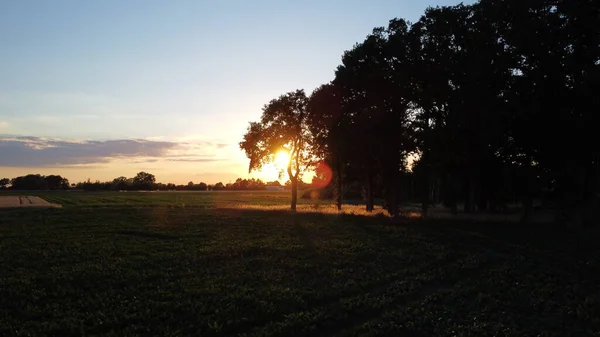 Deutschland Sonnenuntergang Felddrohne Baum — Stockfoto