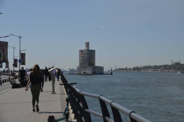 İstanbul hindisi. Eylül 2022. Yenilenmiş Bakire Kulesi.