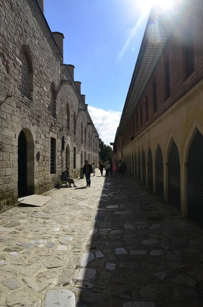 İstanbul hindisi. Ekim 2022. Topkapı Sarayı, Saray Mutfak Yolu, Gölge, Güneş ve İnsanlar.