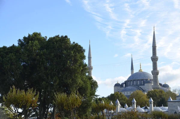 Blauwe Moskee Koepels Bomen Lucht Istanbul Turkije — Stockfoto