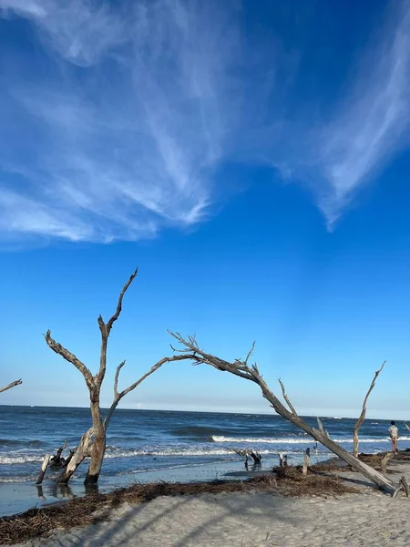 Γραφική Παραλία Άγονο Δέντρο Βαθύ Γαλάζιο Ουρανό Δραματικά Σύννεφα — Φωτογραφία Αρχείου