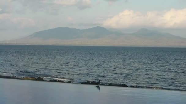 Moment Bird Flies Chilling Pool Beach Background — Stock Video