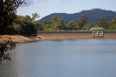 Parktaki nehrin güzel manzarası