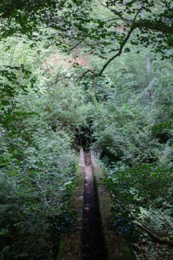 Parkın güzel manzarası