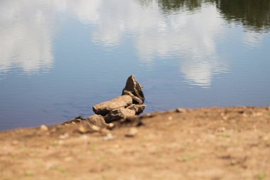 Suda küçük bir nehir.