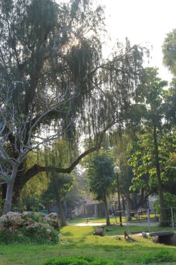 Parkın güzel manzarası