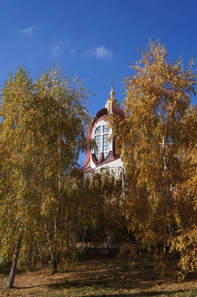 Autumn Spring Two Opposites Golden Ternopil Autumn Autumn Background Phones — Stock Photo, Image