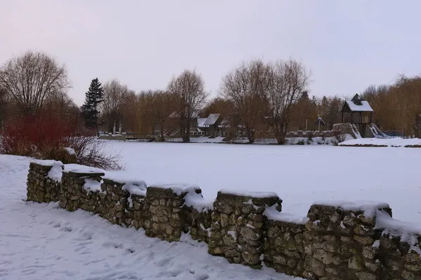 Floresta Nevada Inverno Primeira Neve Nas Ruas Nos Parques Ruas — Fotografia de Stock