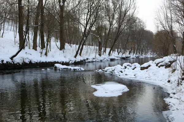 Winter Ukrainian Landscape Firrst Snow Streets Parks Streets Parks City — Stock Photo, Image