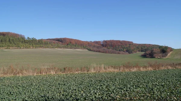 Blauwe Lucht Boven Oekraïne Podilski Landschap Ternopil Heldere Zonnige Dag — Stockfoto